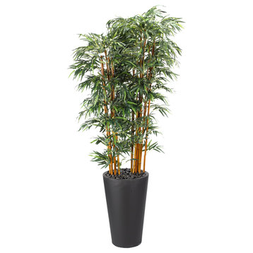 9' Bamboo Tree in Tall Round Black Planter