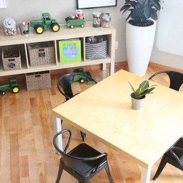 *lower level playroom