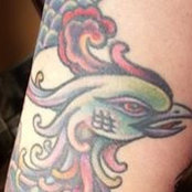 Anji Freeland's photo