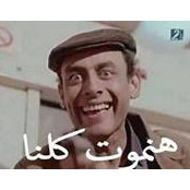 Mahmoud Osama's photo