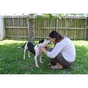 Cindy Santamaria's photo