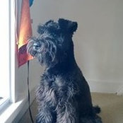 Michael de Graaf's photo