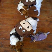 Abi Robinson's photo