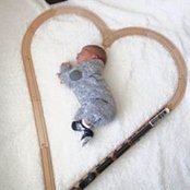 Cheryl Imbesi's photo
