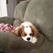 Linda Thomas's photo