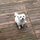 karen_winokur9987027