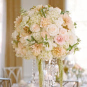 karla flores's photo