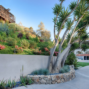 Soledad Canyon