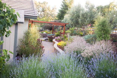 Inspiration for a transitional garden in San Luis Obispo.