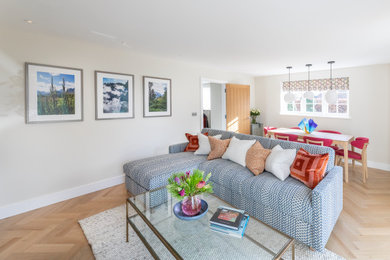Inspiration for a contemporary living room in Surrey.