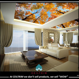 The "WOW" Series 226 - 250 - Products