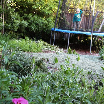 Backyard Kid and Pet-Friendly