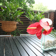 Exterior Ideas