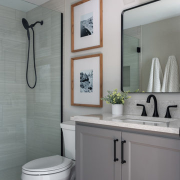 Wentzville Lower Level Living Area & Bathroom