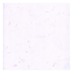 FUTAR / Brilliant White Dolomite - Flooring