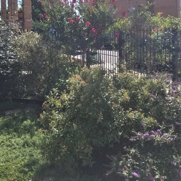 Small Urban Garden - Early Fall
