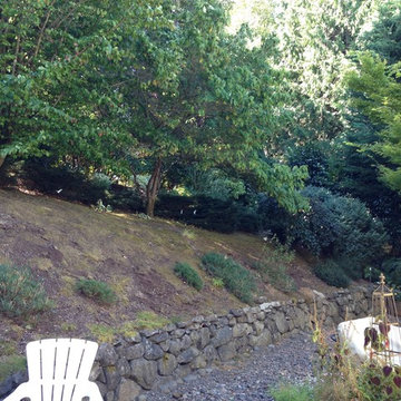 Entertainers Backyard
