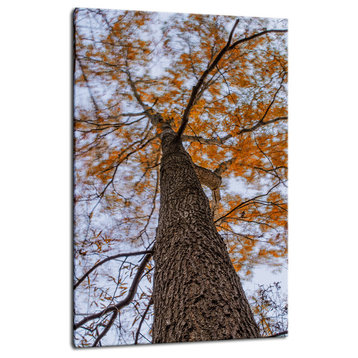 Wind in the Trees Botanical, Nature Photo Canvas Wall Art Print, 16" X 20"