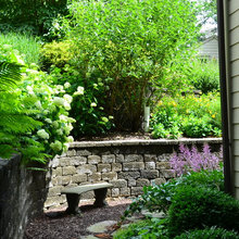 Landscape Ideas
