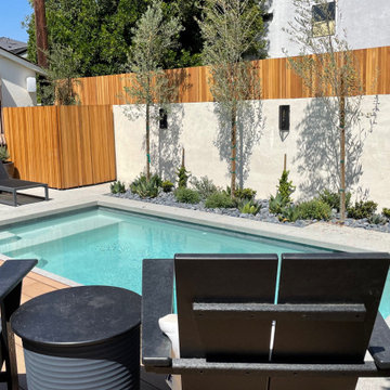 DSMA Plunge Pool