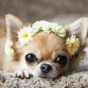 Amy Tran's photo