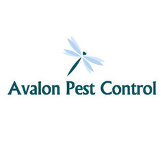 Avalon Pest Control