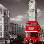 Talia Feder's photo