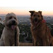 Chelsea Bond's photo
