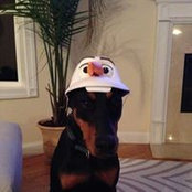 Lauren Brickman's photo