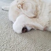 Shelley Hardee's photo