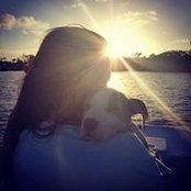 Angel Borreca's photo