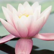 Stevie Murphy's photo