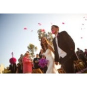 Sean Corson's photo