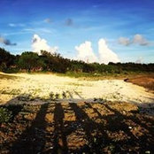 Maco Yamao's photo