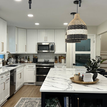 Main Level Renovations