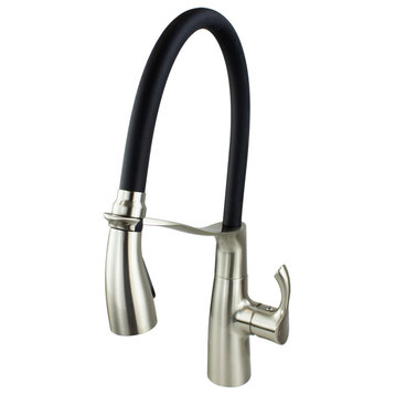 Transolid Organix Pull-Out Kitchen Faucet, Luxe Stainless