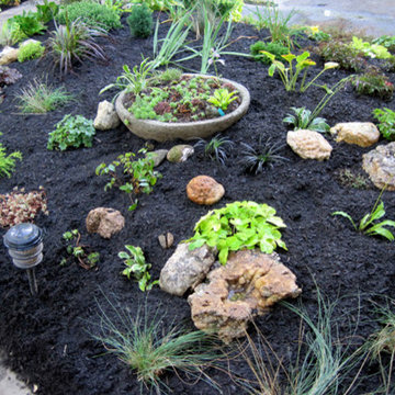 Jewelbox garden