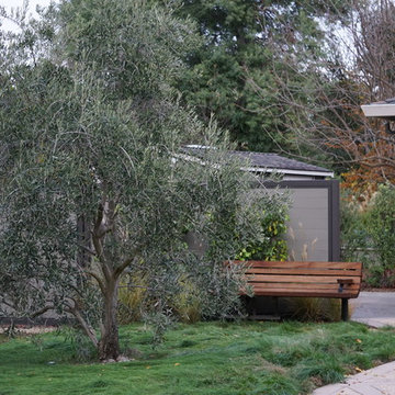 Los Gatos Ranch House Redesign