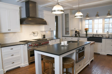 Kitchen - transitional kitchen idea in Chicago