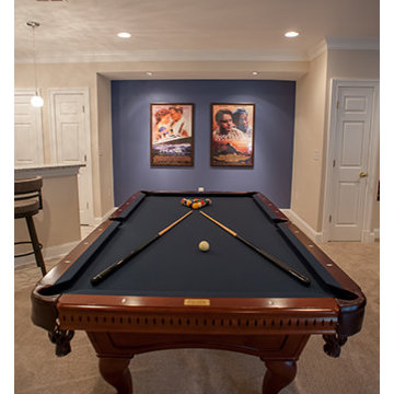 Basement Remodel 2014