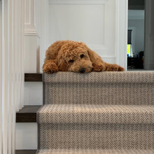lakehouse carpet stairs