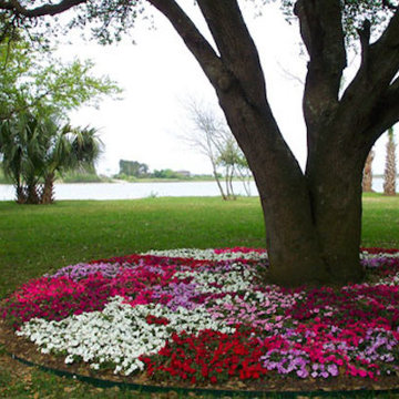 Landscape Designs