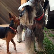 Clau Clau's photo