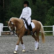 Foto von Tina Solbakken