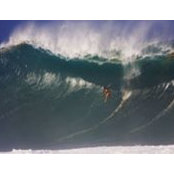 Paul Lancaster's photo