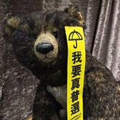 Annei Leung's photo