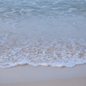 Lynette Watson's photo