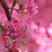 Renee Sloan's photo