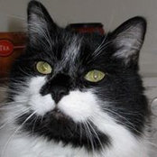 Emily Eaton's photo