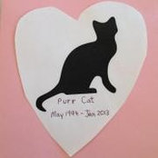 Karen Page's photo